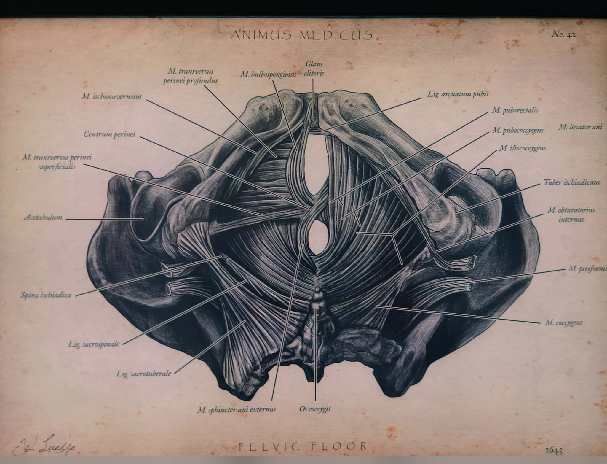 Praxis Am Salzmarkt – Allgemeine Eindrücke – Allgemeine Eindrücke der Arztpraxis – Foto 2 von 15 – Osnabrück