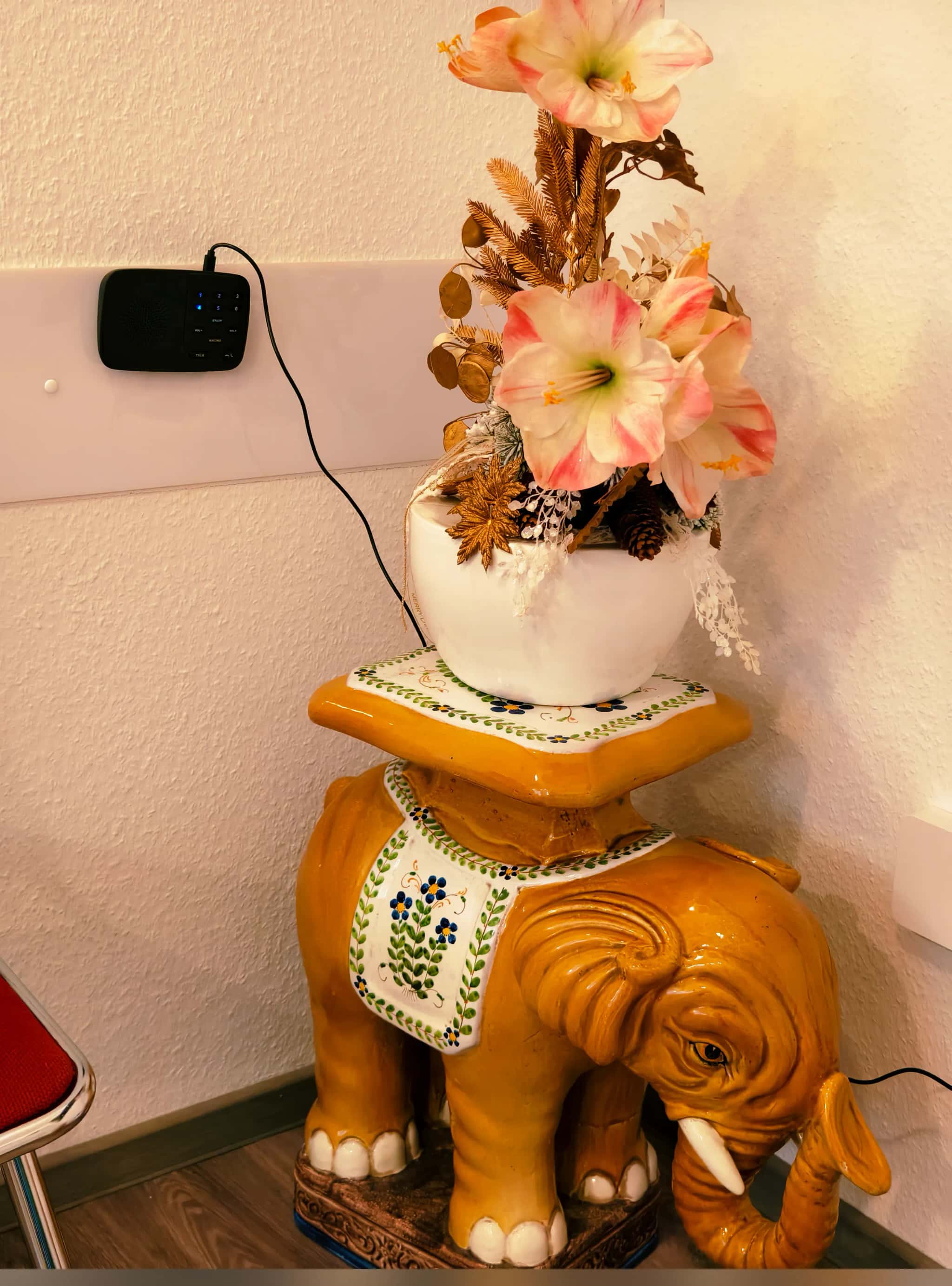 Praxis Am Salzmarkt – Wartezimmer – Wartezimmer mit komfortabler Ausstattung – Foto 15 von 15 – Osnabrück