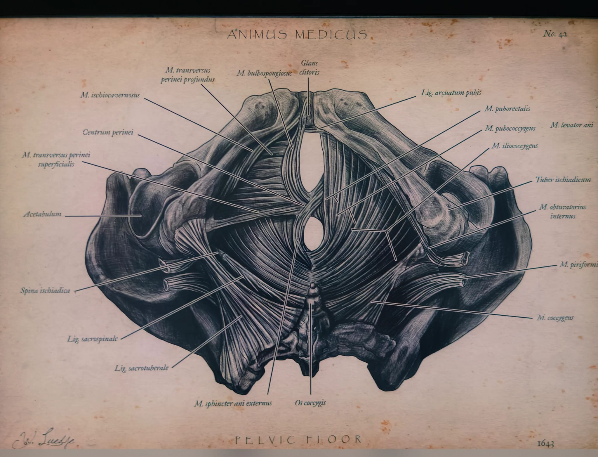 Allgemeine Eindrücke