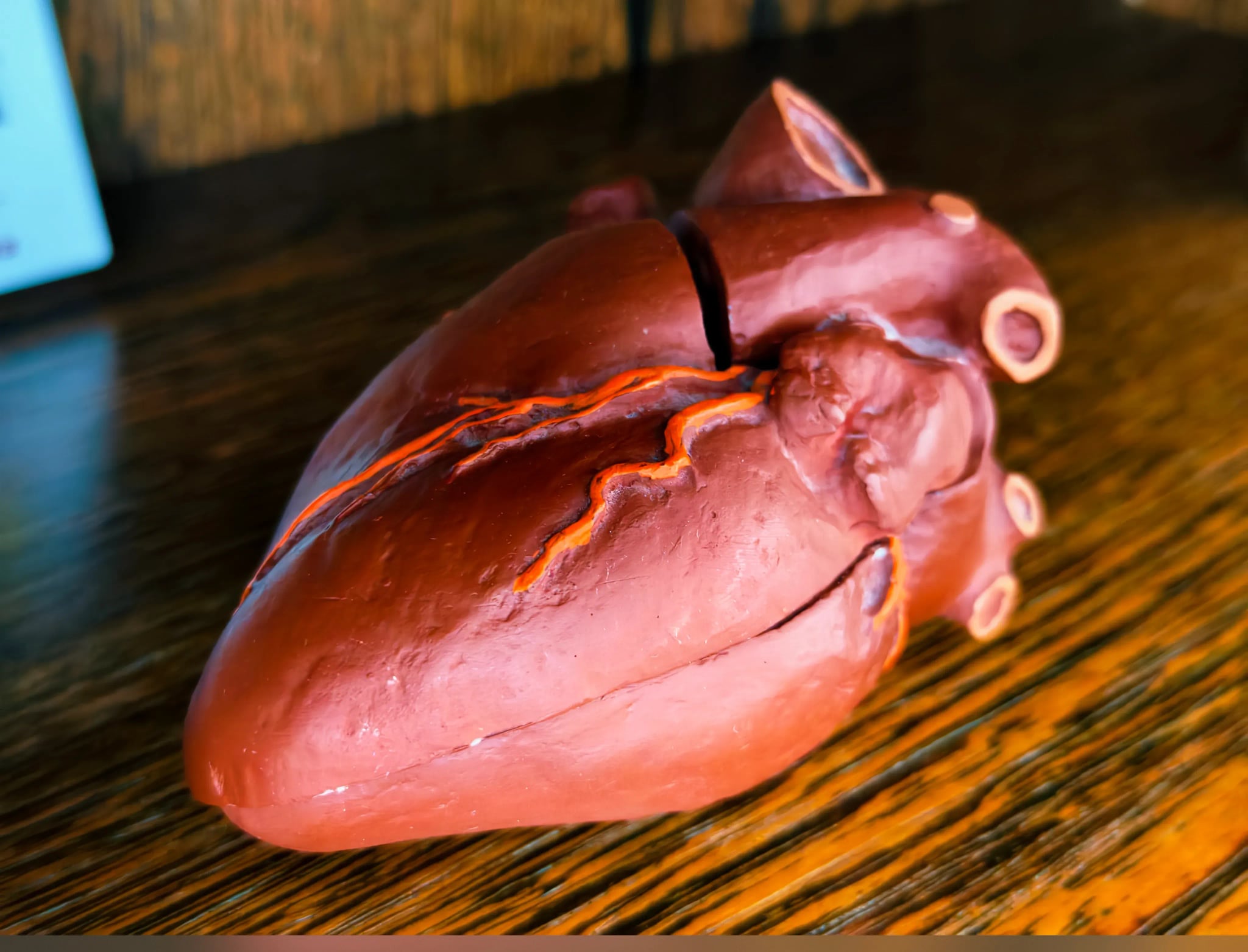 Praxisimpression 6 - Gemeinschaftspraxis Osnabrück