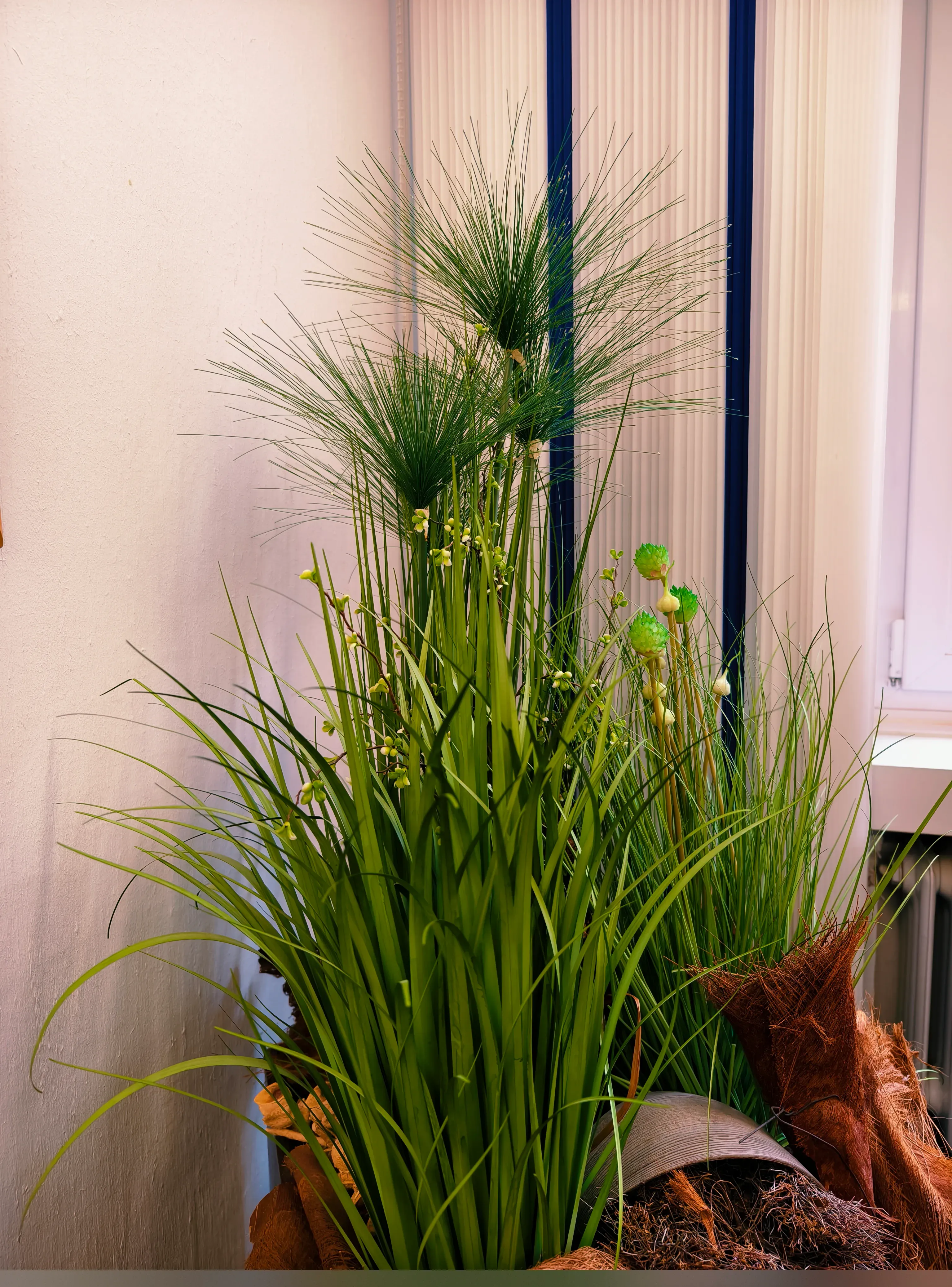 Praxis Johannisstraße – Sprechzimmer 3 – Motiv 6