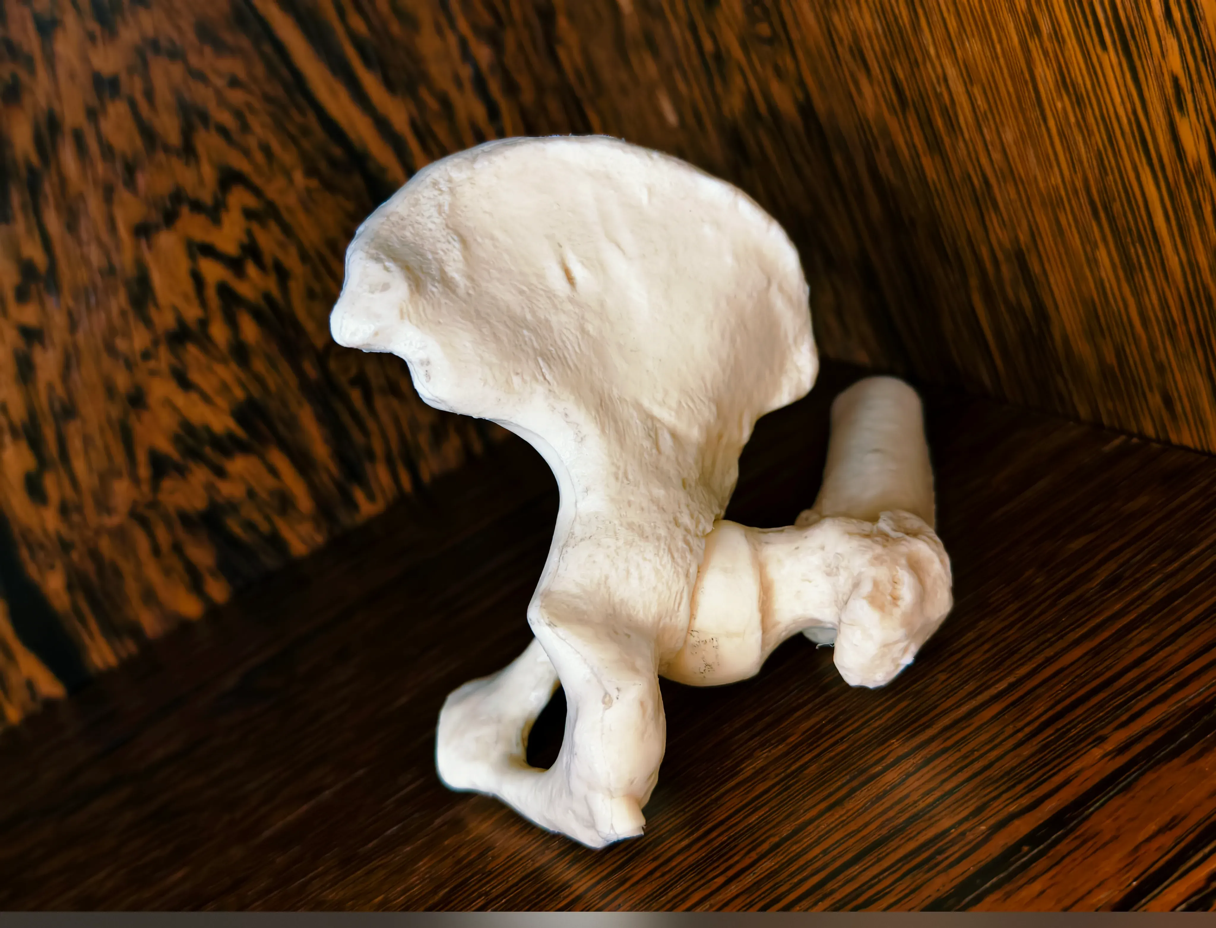 Praxisimpression 2 - Gemeinschaftspraxis Osnabrück